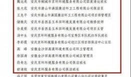 岳西最新爆料消息新闻,揭秘重大事件背后真相